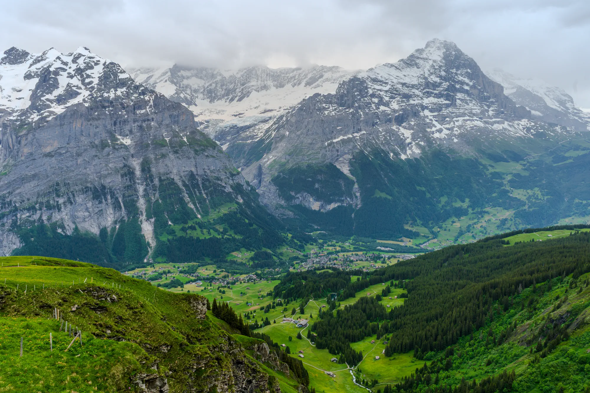 Landscape 6